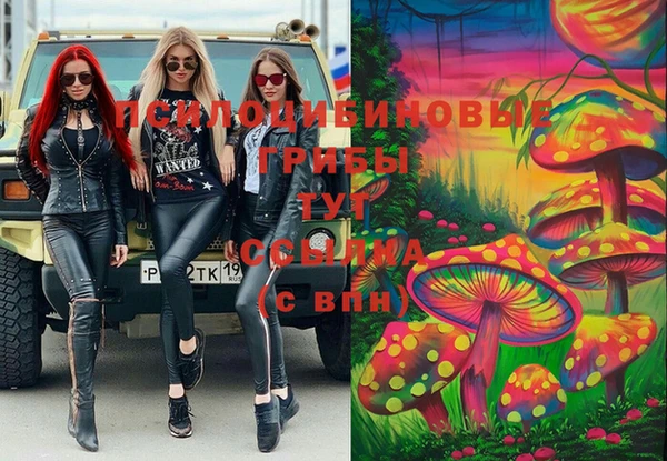 спиды Алексеевка